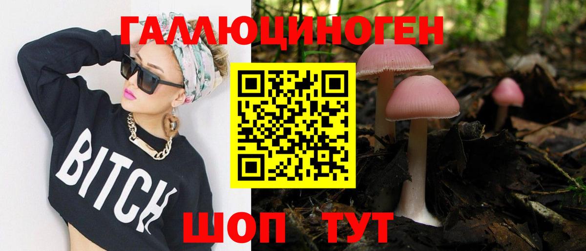 Шадринск  Галлюциногенные грибы Psilocybine cubensis  Вход с VPN 