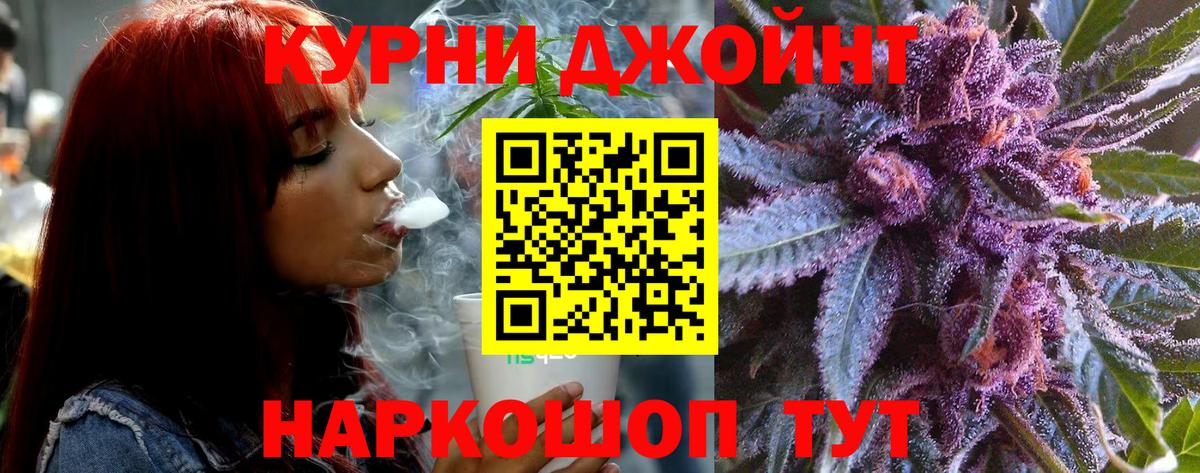 Шадринск  Шишки марихуана планчик  Вход с VPN  Бошки марихуана семена 